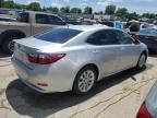 2013 Lexus ES 300H