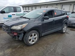 Salvage cars for sale from Copart Louisville, KY: 2013 Ford Escape SE