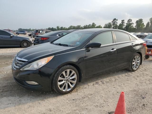 2013 Hyundai Sonata SE