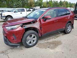 Carros salvage a la venta en subasta: 2023 Toyota Rav4 XLE