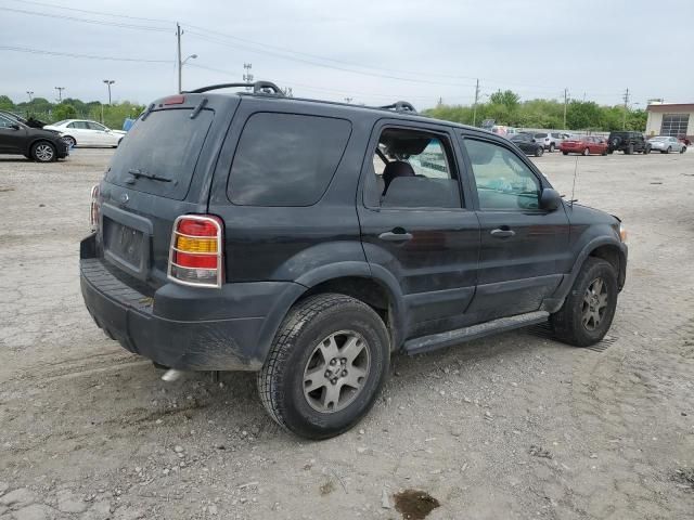 2005 Ford Escape XLT