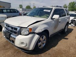 Salvage cars for sale at Elgin, IL auction: 2010 Ford Escape Limited