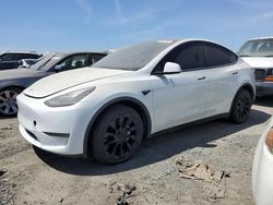 Salvage cars for sale from Copart Martinez, CA: 2021 Tesla Model Y