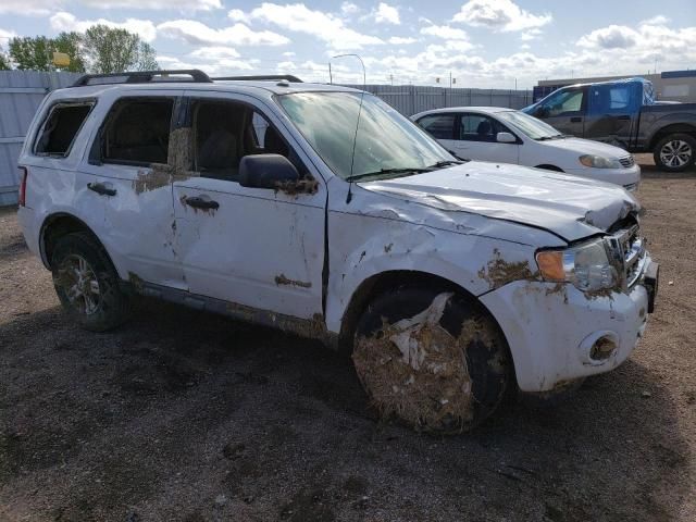 2009 Ford Escape Hybrid