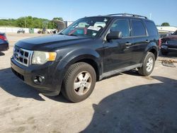 Salvage cars for sale at Lebanon, TN auction: 2010 Ford Escape XLT