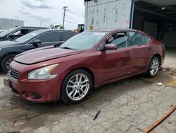 Nissan Maxima s salvage cars for sale: 2012 Nissan Maxima S