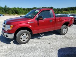 Salvage cars for sale from Copart Fairburn, GA: 2013 Ford F150