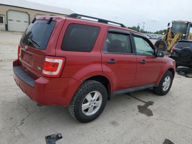 2010 Ford Escape XLT