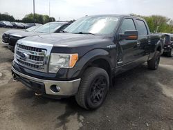 Salvage trucks for sale at East Granby, CT auction: 2013 Ford F150 Supercrew