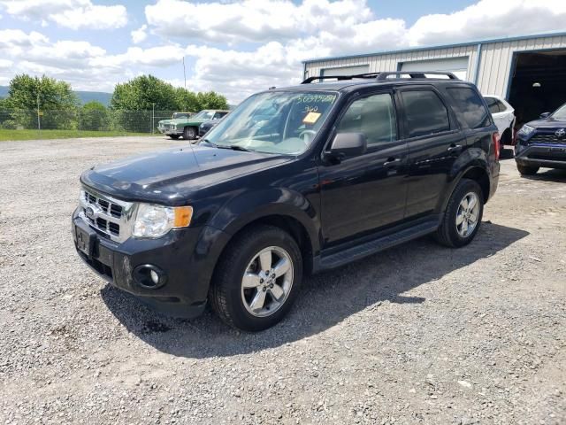 2011 Ford Escape XLT