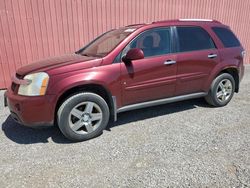 Chevrolet Equinox lt salvage cars for sale: 2009 Chevrolet Equinox LT