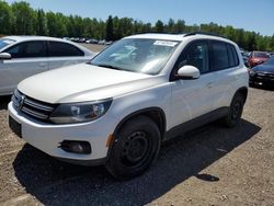 Volkswagen salvage cars for sale: 2013 Volkswagen Tiguan S