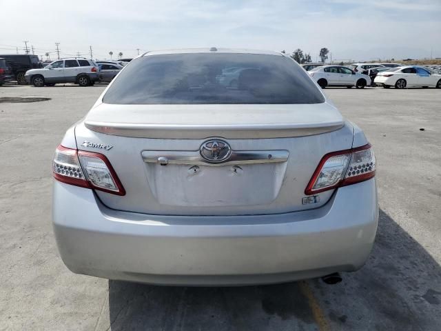 2010 Toyota Camry Hybrid