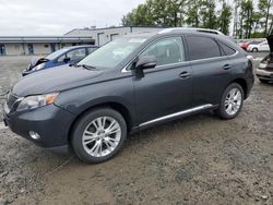 Lexus salvage cars for sale: 2010 Lexus RX 450