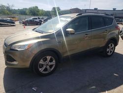 Salvage cars for sale at Lebanon, TN auction: 2014 Ford Escape SE