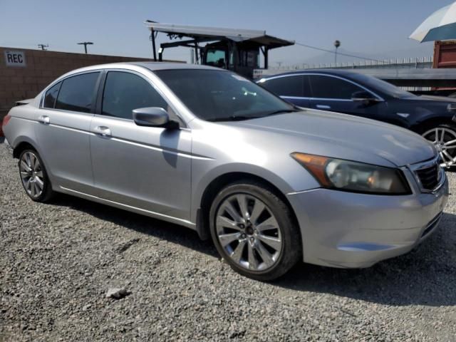 2008 Honda Accord EXL