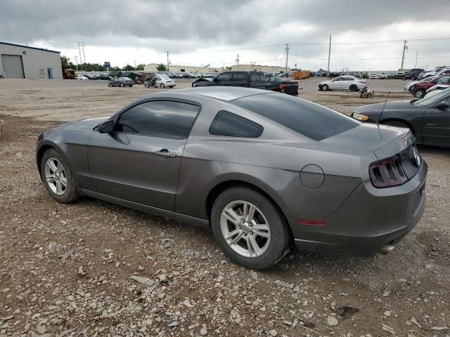 2013 Ford Mustang