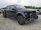 2019 Ford F150 Raptor