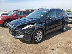 Salvage cars for sale at Elgin, IL auction: 2015 Ford Escape Titanium