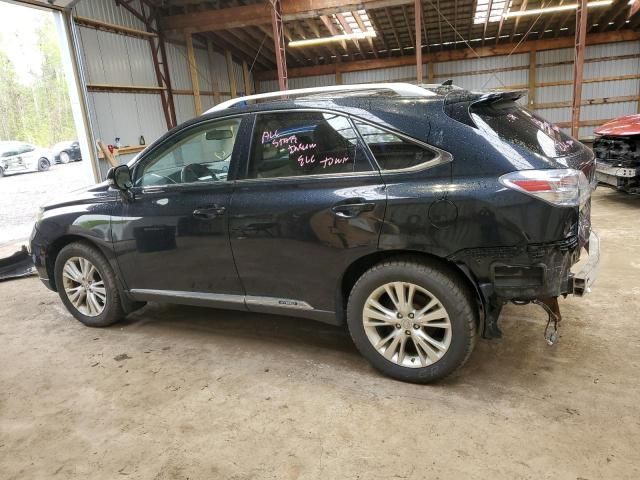 2010 Lexus RX 450