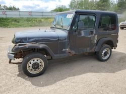 Salvage cars for sale at Davison, MI auction: 1995 Jeep Wrangler / YJ S