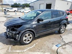 Salvage cars for sale from Copart New Orleans, LA: 2015 Ford Escape SE