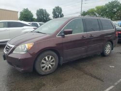 Honda salvage cars for sale: 2010 Honda Odyssey EXL