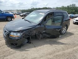 Salvage cars for sale from Copart Greenwell Springs, LA: 2011 Hyundai Santa FE Limited