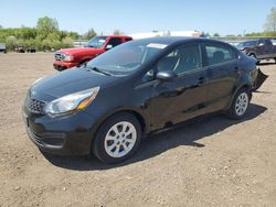 Salvage cars for sale at Columbia Station, OH auction: 2014 KIA Rio LX