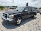 2005 Dodge Dakota SLT