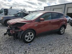 Salvage cars for sale at Wayland, MI auction: 2014 Ford Escape SE