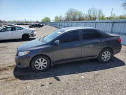 Salvage cars for sale from Copart Ontario Auction, ON: 2010 Toyota Corolla Base