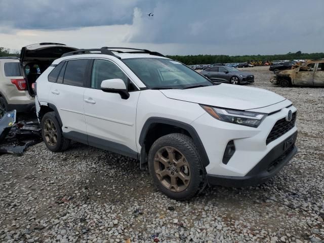 2023 Toyota Rav4 Woodland Edition