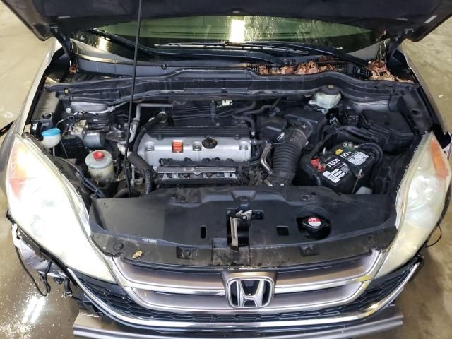 2010 Honda CR-V EXL