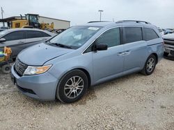 Salvage cars for sale at Temple, TX auction: 2013 Honda Odyssey EX