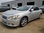 2013 Nissan Maxima S