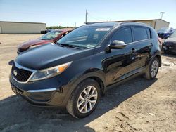 Salvage cars for sale at Temple, TX auction: 2014 KIA Sportage Base