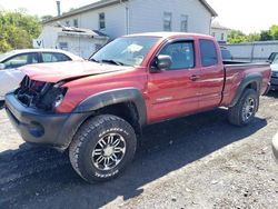 Salvage cars for sale at York Haven, PA auction: 2005 Toyota Tacoma Access Cab