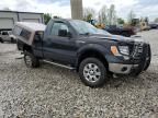 2010 Ford F150