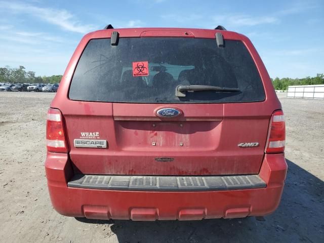 2009 Ford Escape XLT