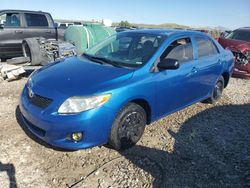 Salvage cars for sale from Copart Magna, UT: 2010 Toyota Corolla Base