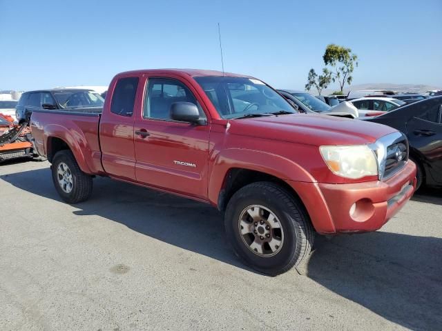 2005 Toyota Tacoma Prerunner Access Cab