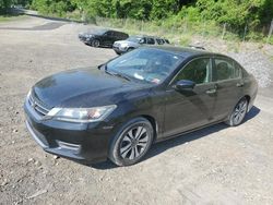 Salvage cars for sale at Marlboro, NY auction: 2013 Honda Accord LX