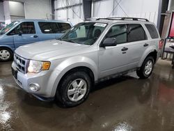 Salvage cars for sale at Ham Lake, MN auction: 2009 Ford Escape XLT