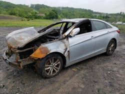 Salvage cars for sale at auction: 2013 Hyundai Sonata GLS