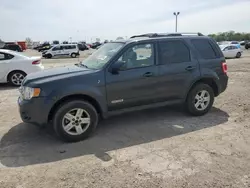 Salvage cars for sale at Indianapolis, IN auction: 2008 Ford Escape HEV