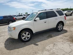 Vehiculos salvage en venta de Copart Indianapolis, IN: 2011 Ford Escape Limited