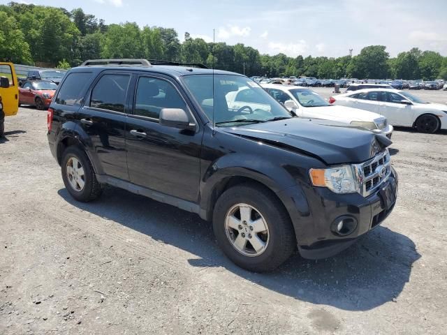 2012 Ford Escape XLT