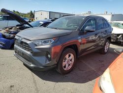 Salvage cars for sale at Vallejo, CA auction: 2020 Toyota Rav4 XLE