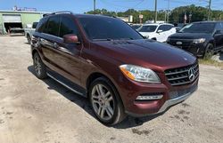 Salvage cars for sale from Copart Jacksonville, FL: 2015 Mercedes-Benz ML 350